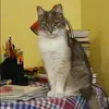 Отзыв от Ксения Широкова